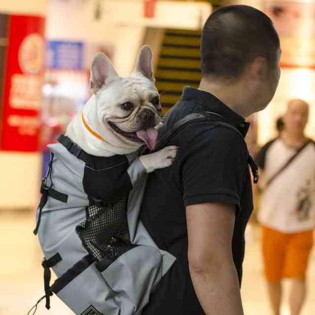 Breathable Pet Dog Carrier Bag For Large Dogs - Golden Retriever Bulldog Adjustable Backpack