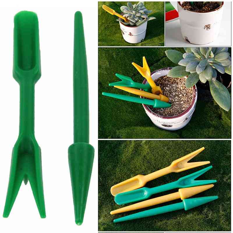 2pc semis de plantes succulentes plantées kit de jardin - dispositif de perforateurs d'engrais bonsaï -