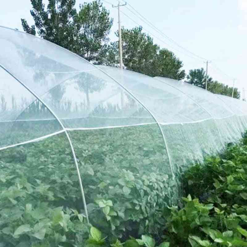 Plasă anti nailon pentru combaterea dăunătorilor pentru grădină, pentru plante, legume, capac de protecție a fructelor