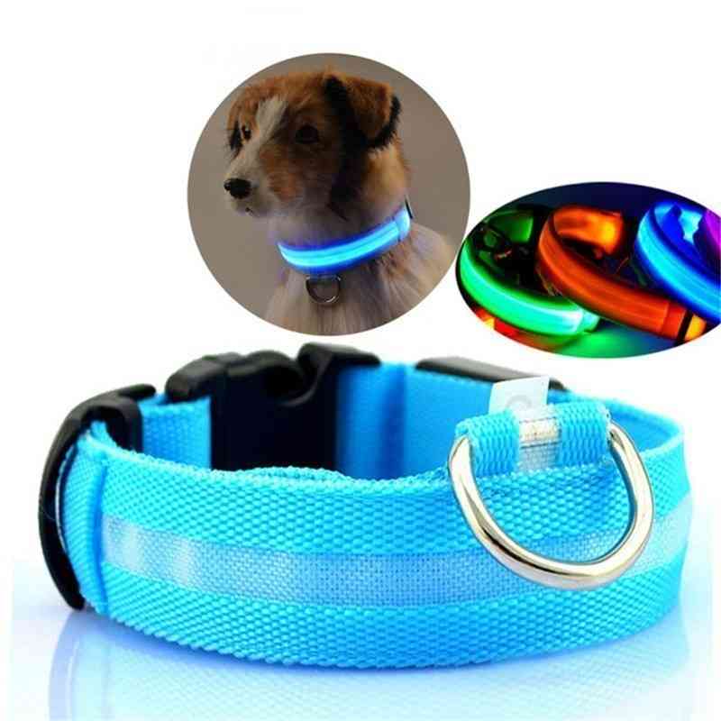 Led Night Safety Flashing Glow Pet Dog Collar & Leash For Dark