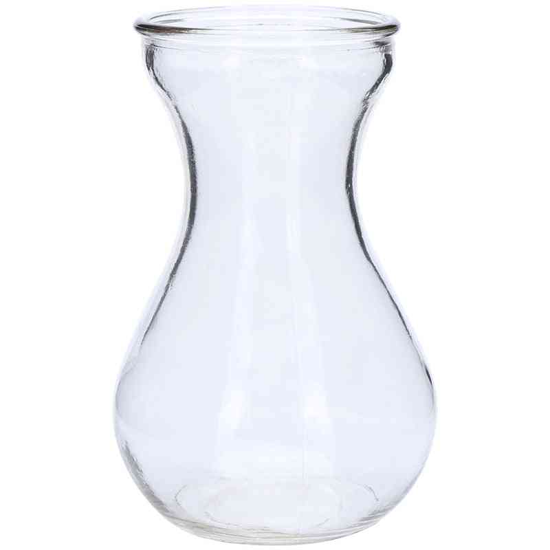 Preprosta kreativna steklena hidroponska rastlinska vaza