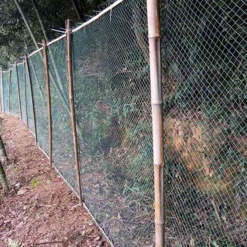 Zahradní plot a plodiny, ochranné pletivo z pletiva proti ptákům