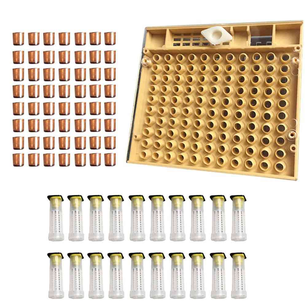 Set di attrezzi per l'apicoltura sistema di allevamento della regina scatola di coltivazione kit di coppe per celle di api in plastica gabbia della regina