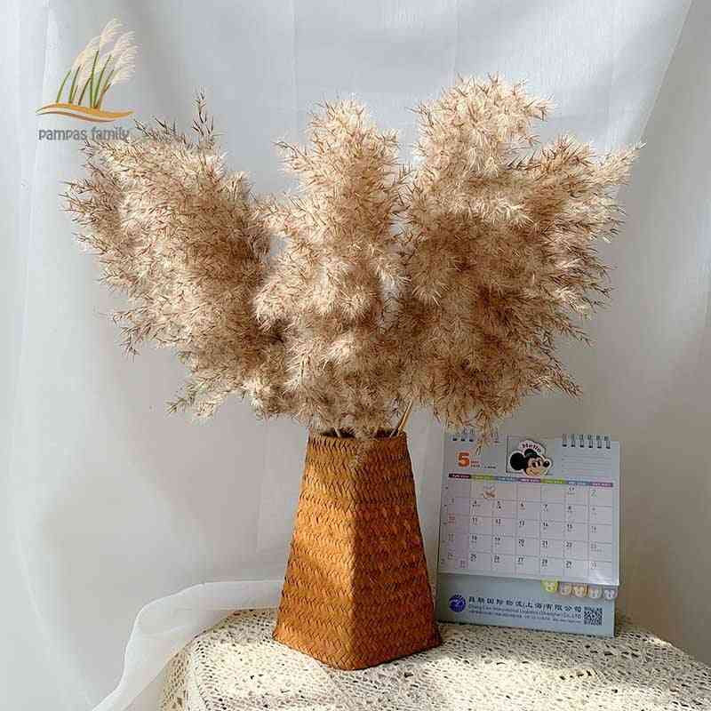 Pampas Grass Dried Flowers Feather Bunch Decor For Home Wedding Party