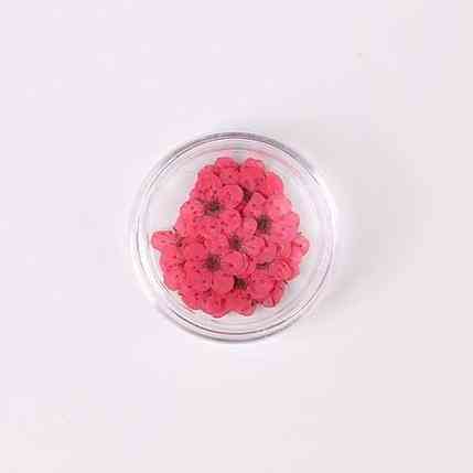 Getrocknete Blumen Nail Art Dekorationen, bunte natürliche trockene Blumen Aufkleber Maniküre Aufkleber