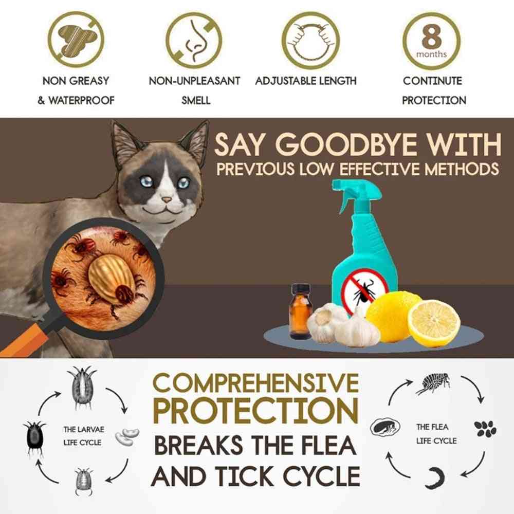 Collar de prevención de pulgas y garrapatas para gatos collar repelente de mosquitos para perros mosquitos de insectos
