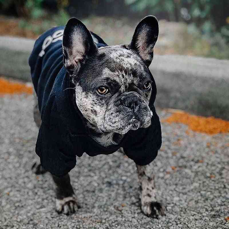 Modni pas s kapuco zimski pas oblačila za pse plašč jakna bombaž ropa perro francoski buldog oblačila za pse oblačila za hišne ljubljenčke