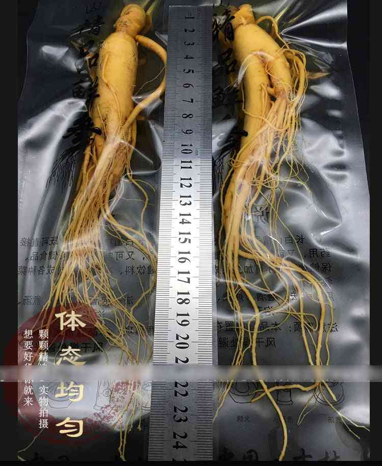 най-висок клас пресен женшен корен вакуум пакет panax пресен женшен корен