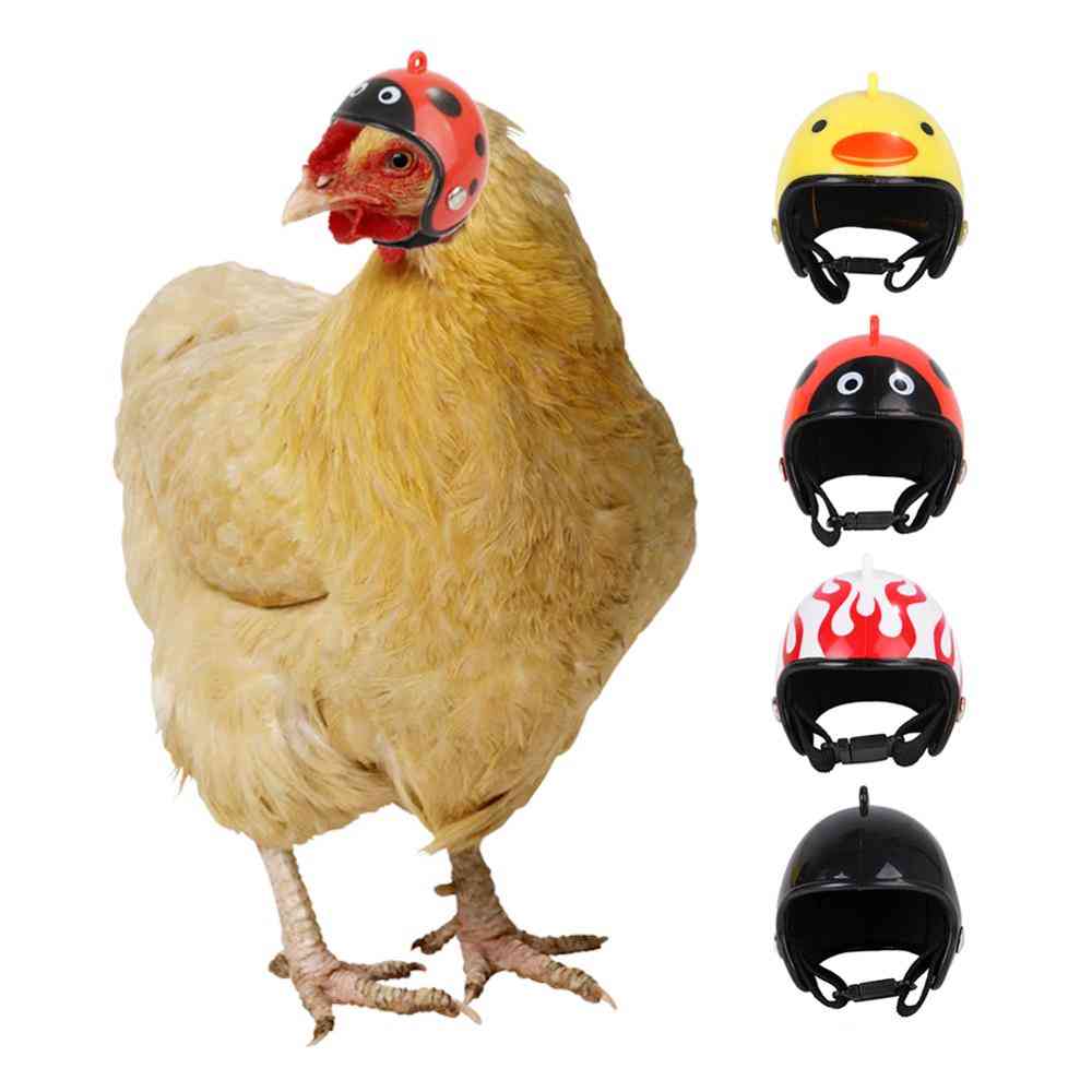 Chicken Helmet Small Pet Hard Hat Bird Duck Quail Headgear