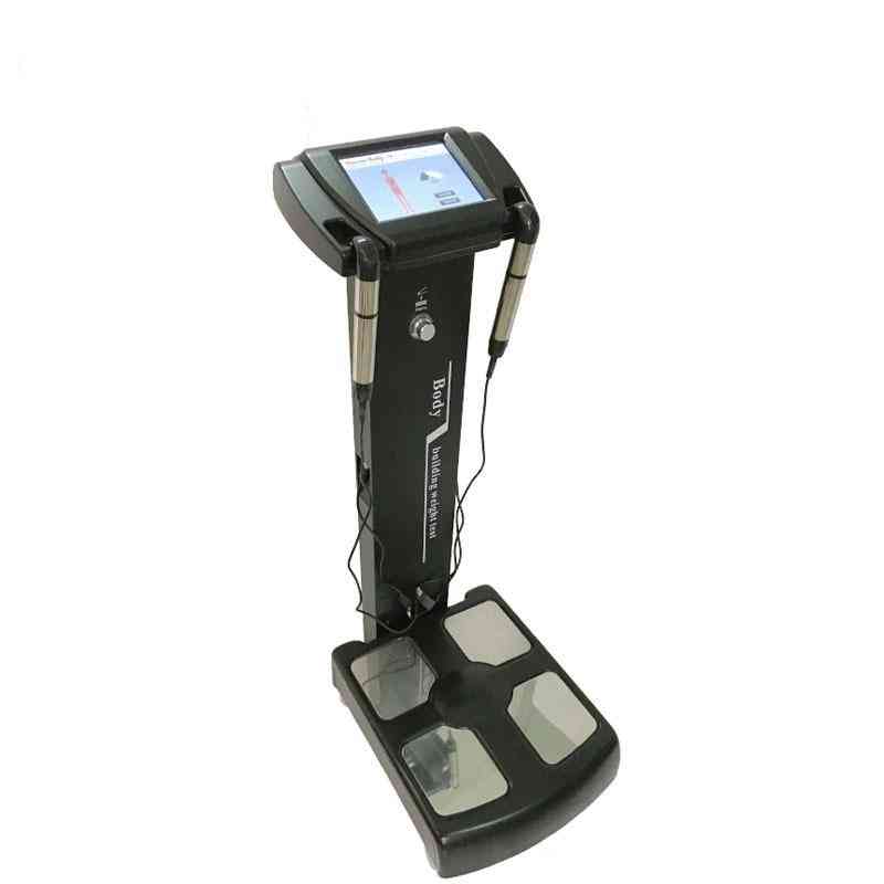 Full Body Health Analyzer Device With Ce Approval And Wifi