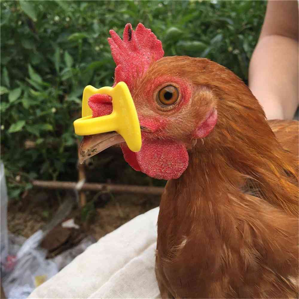 Plastic No Bolt Chicken Anti Pecking Glasses - Chicken, Pigeon, Pheasant Glasses