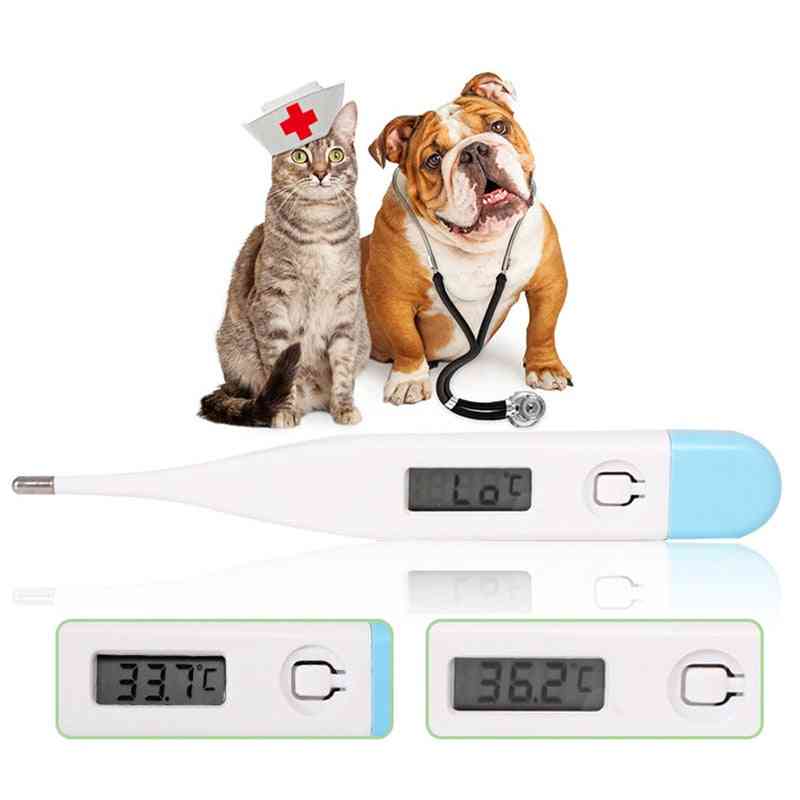 Digital Lcd Thermometer For Pet - Veterinary