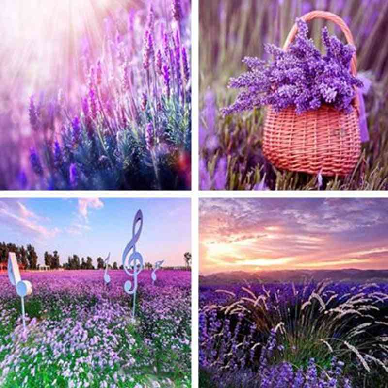 Beautiful Natural Lavender - English Green Untreated Herb Garden Decor And Dried Flowers Seeds