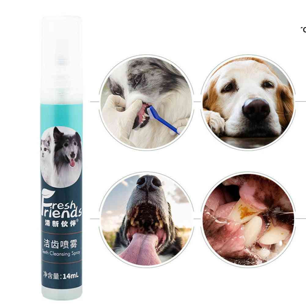 Tann spray spray bakterier drepe & tåke rengjøring bærbar oral pleie, liten hund og katt fjerne dårlig ånde plakk -