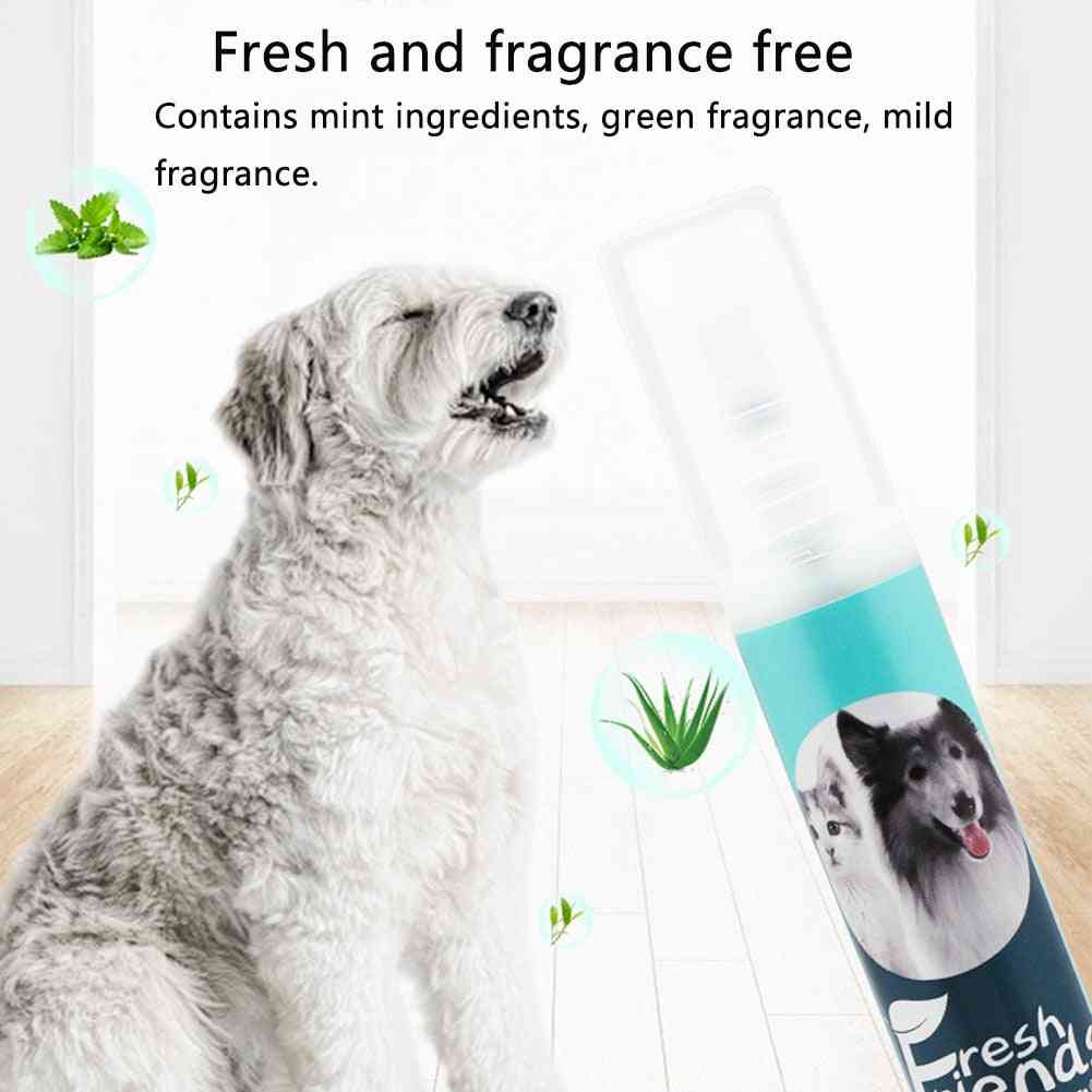 Dental Spray Bacteria Kill & Mist Cleaning Portable Oral Care, Small Dog & Cat Remove Bad Breath Plaque