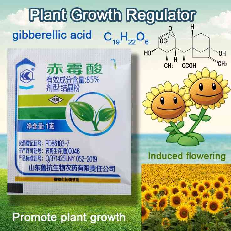 Koncentrat giberelinske kisline poveča rast rastlin gnojilo