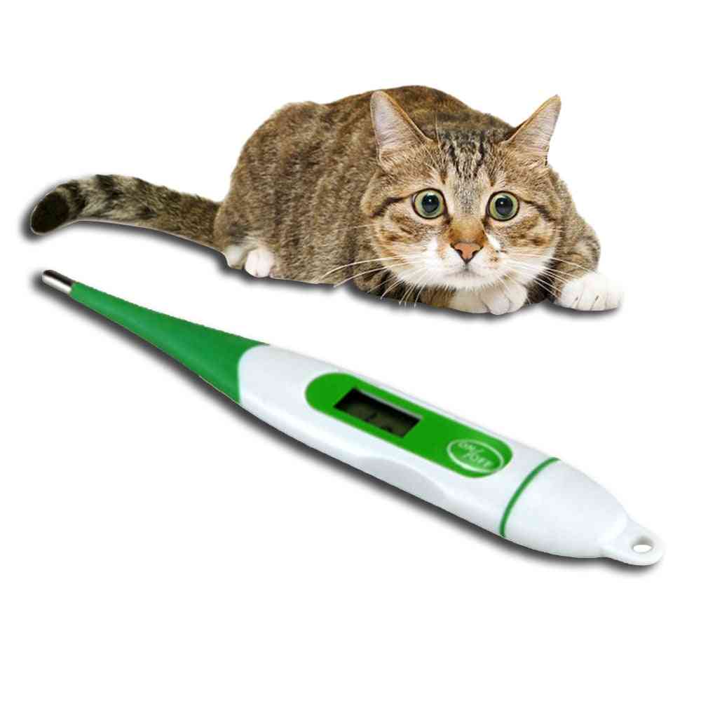 Veterinarski digitalni termometer za hišne pse, mačke in prašiče