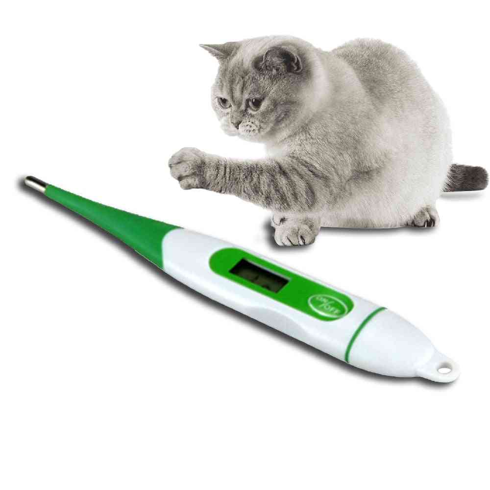 Veterinarski digitalni termometer za hišne pse, mačke in prašiče