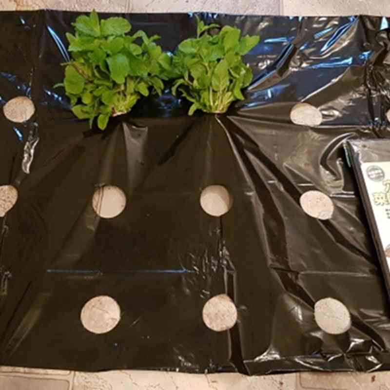 5 găuri din plastic negru pentru plantele agricole cresc film - seră