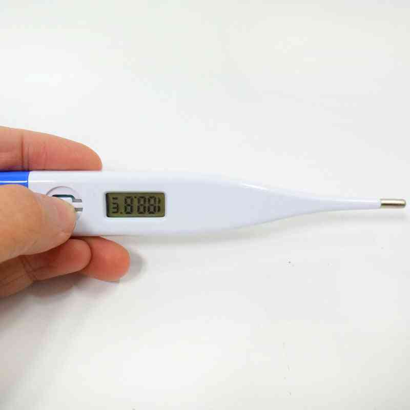 Profesjonalny termometr elektroniczny dla psa, kota - bezpieczny termometr na mokro i sucho Termometr weterynaryjny - czerwony