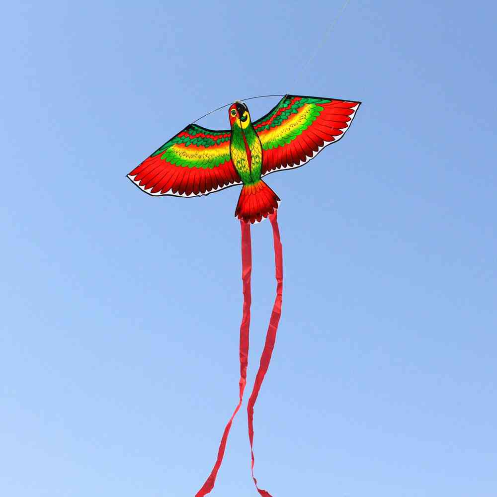 Zunanji rdeče zeleno modri papagaji zmaj, enovrstni vetrič, leteči zabavni športi