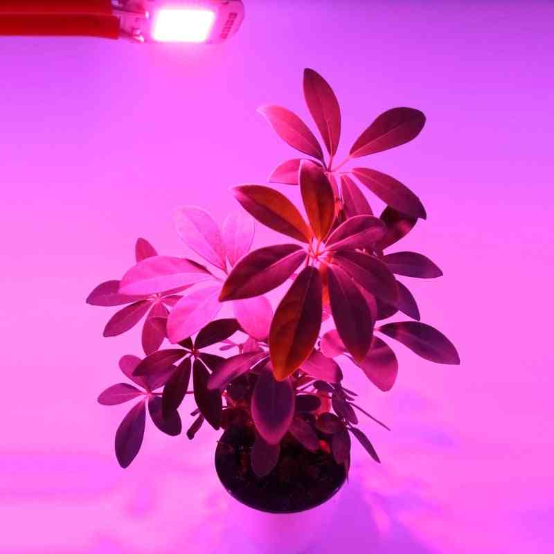 Led Cob Chip For Indoor Plant Seedlingand  Flower Growth , Light Full Light Spectrum ,220v ,110v, 20w ,30w, 50w