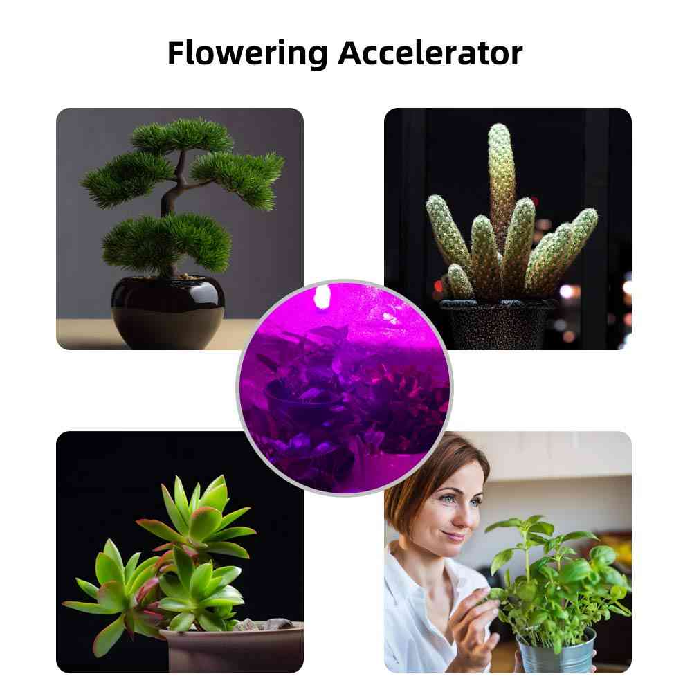 Led Plant Growth Lamp-full Spectrum Light Bulb