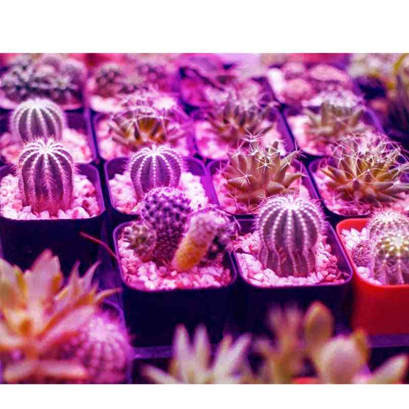 Full Spectrum, Ultravoilet Infrared Led Grow Light For Indoor Hydroponics Plants
