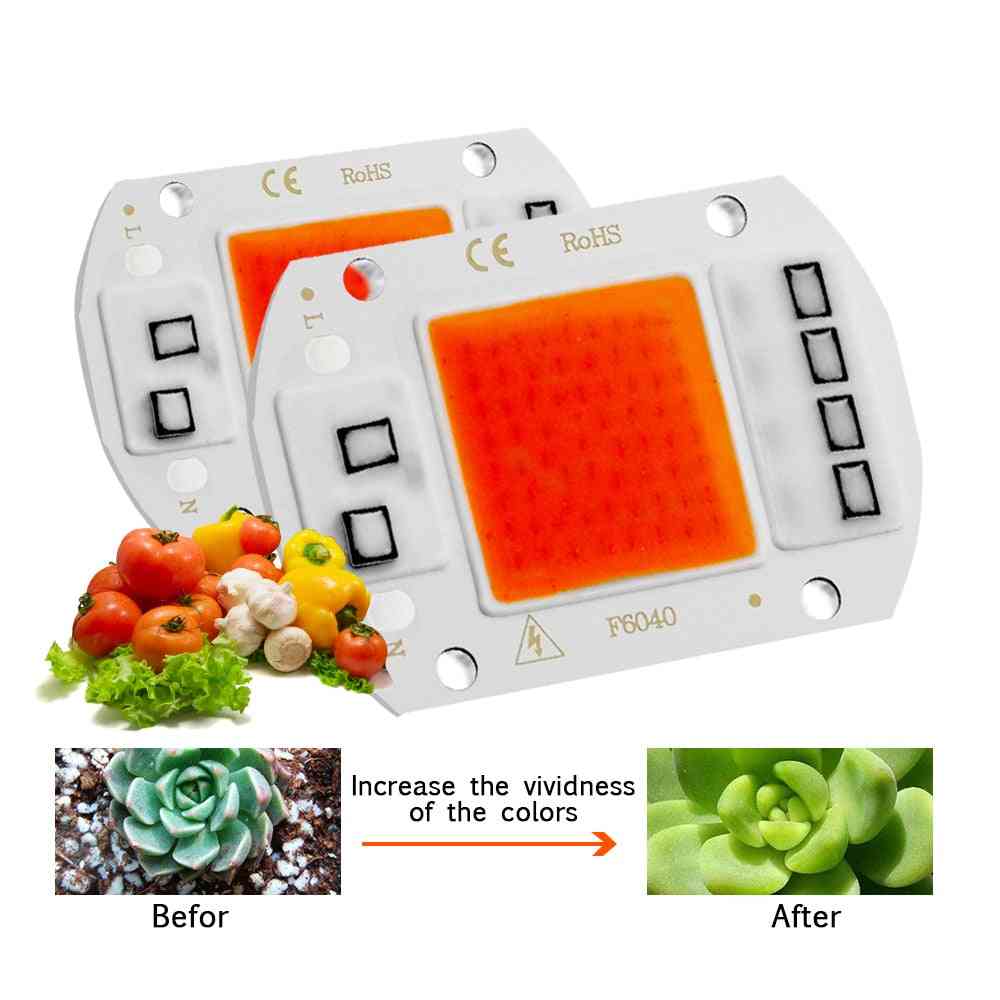 Led Grow Light Phyto Lamp -full Spectrum No Need Driver For Growth Flower