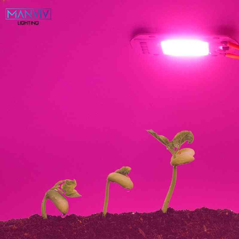 Lámpara de phyto de chip de mazorca de cultivo led de espectro completo para interiores, flor de plántula de planta - bule light / 20w / 220v