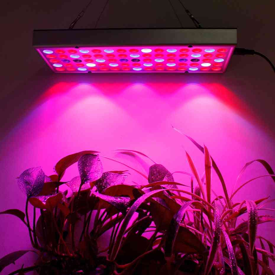 Voksende lamper førte vokse lys 25w / 45w ac85-265v fuldspektrum plantebelysning fitolampy til planter blomster frøplante dyrkning - 75leds / us