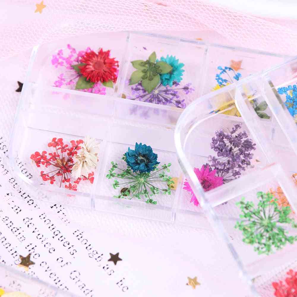 3d Art Designs Mix Dried Flowers - Nail Decorations Stickers