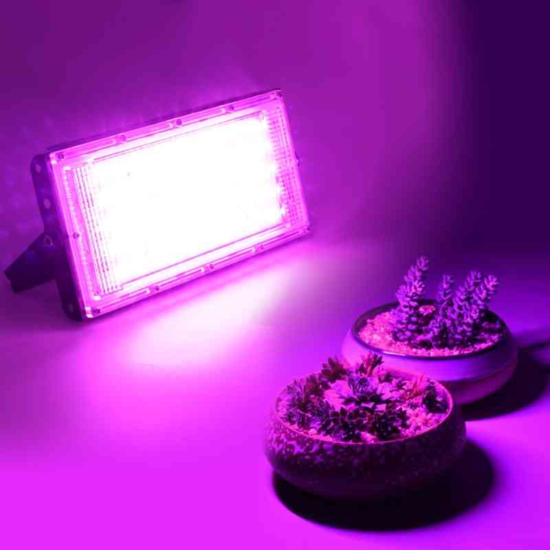 Led Grow Light Full Spectrum 50w Ac 220v Phyto Lamp For Plants