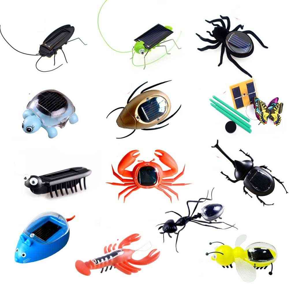 Plastic Solar Power Ant, Cockroach Spider & Tortoise Crab Butterfly - Insect Teaching Baby Toy