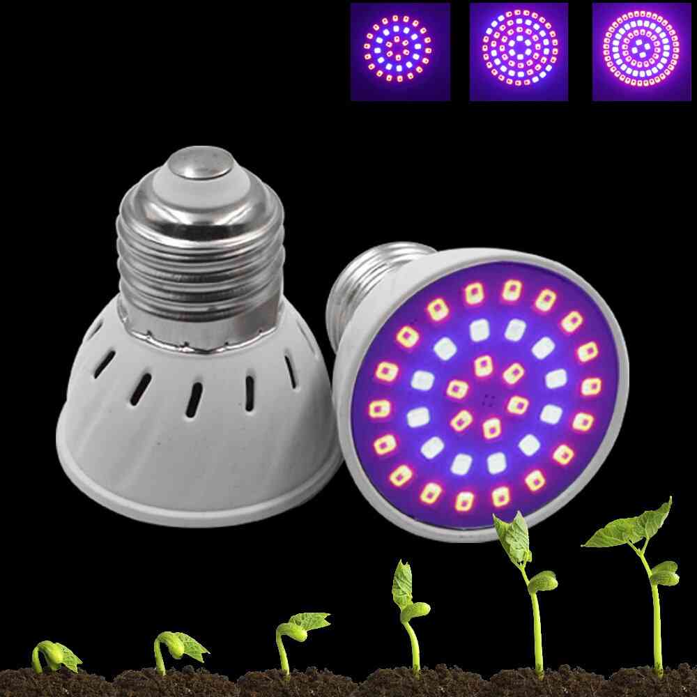 Led Plant Growth Lamps - Red Blue Light