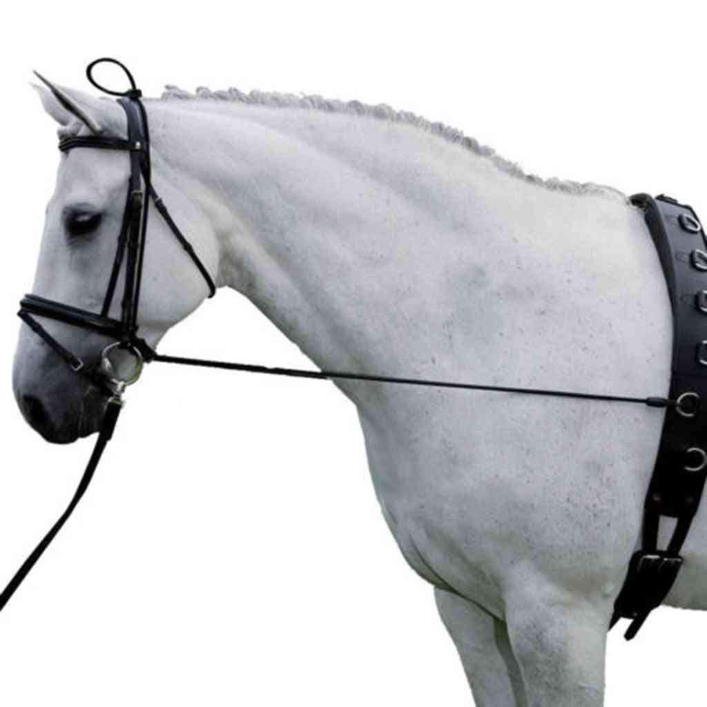 Hestebårstræner træningsplejeværktøj til ridning, omsorg