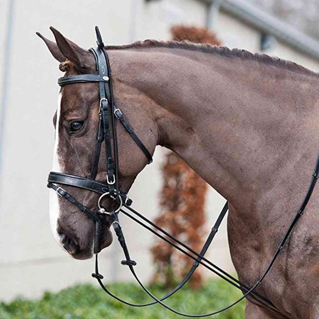 Strumento di toelettatura per l'allenamento della barella del collo del cavallo per equitazione, cura