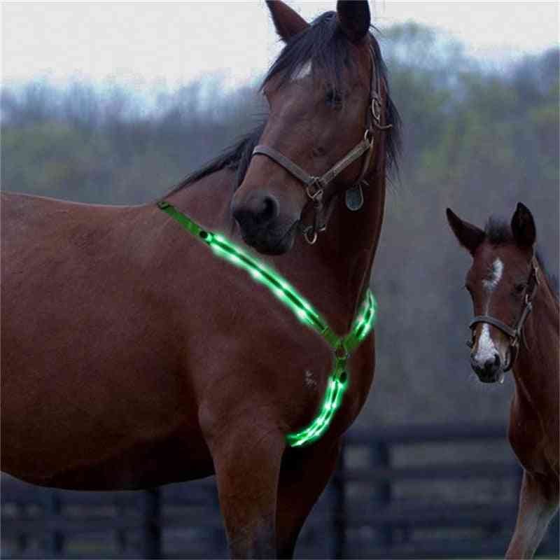 Cintura toracica impermeabile a led per equitazione, per pettorale visibile di notte, illuminazione per equitazione