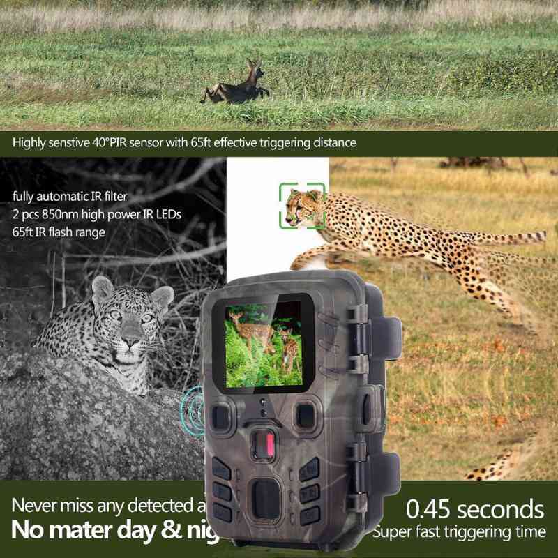 Câmera de trilha sem fio, caça à vida selvagem ao ar livre, vigilância de reconhecimento, armadilhas fotográficas de visão noturna