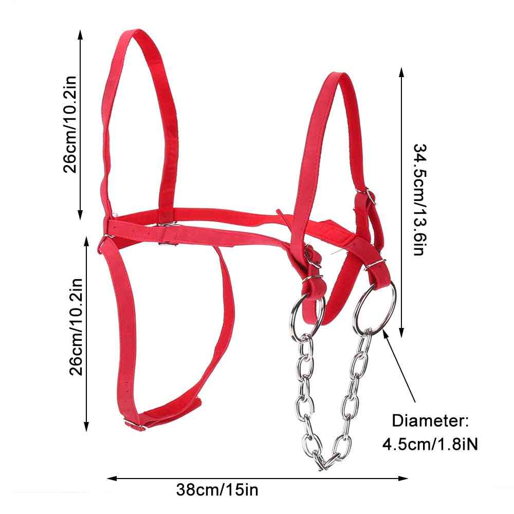 Horse Head Collar, Pp Thickened Adjustable Safety Halter Riding Belt, Training Rope Equestrian Equipment