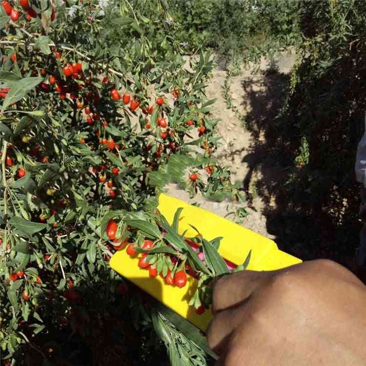 Small And Convenient Handheld Fruits Picking Tool, Fruit Picker Harvester