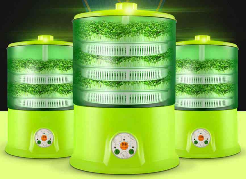 Mașină automată de germeni de fasole, termostat de semințe verzi în creștere