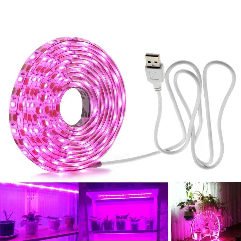 Usb Phyto Lamps For Plants Grow, Light Strip, Led Tape