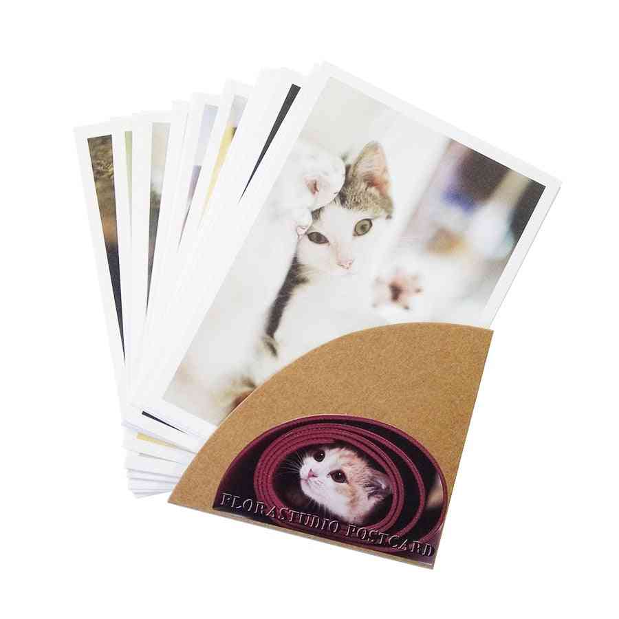 Cute Cartoon Cat Series Postcards - Group Invitation, Greeting Wish Card