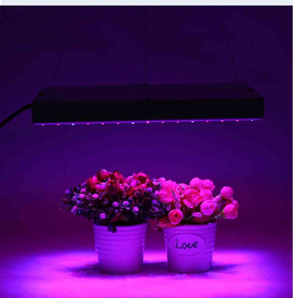 пълен спектър светодиодни фитолампа за растение палатка цвете цвете