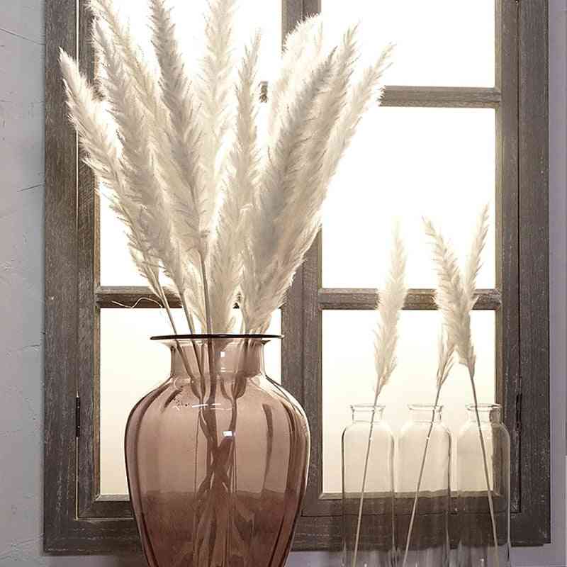 Natural Dried Flowers, Small Pampas Grass Phragmites-artificial Plants For Decoration