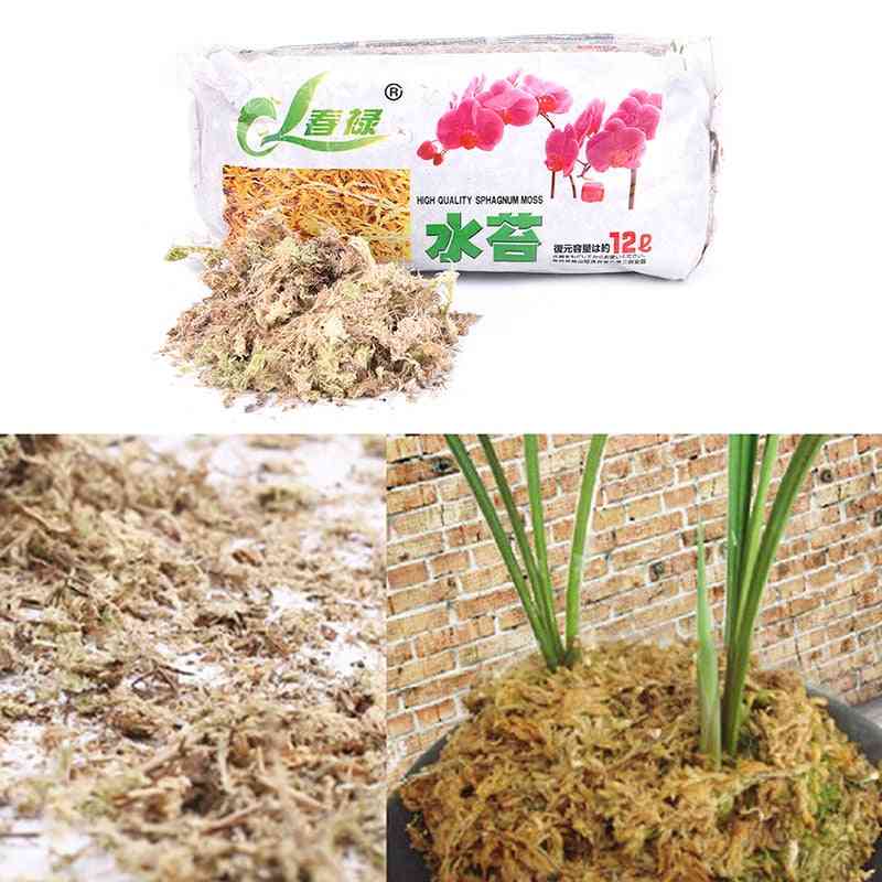 Sphagnum Dry Moss Garden Moisturizing Nutrition Organic Fertilizer For Orchid Phalaenopsis