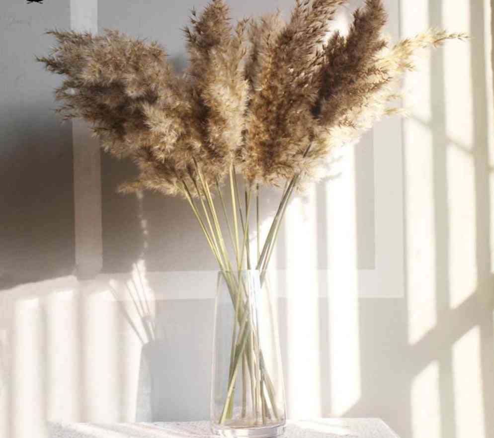Sušené pampy trávy dekor svatební kytice banda přírodních rostlin pro domov
