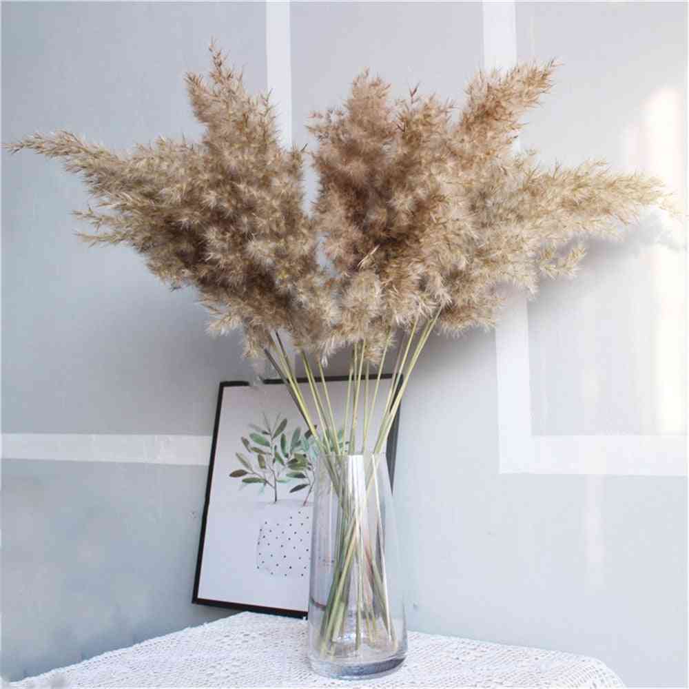 Herbe de pampa séchée décor bouquet de fleurs de mariage plantes naturelles pour la maison
