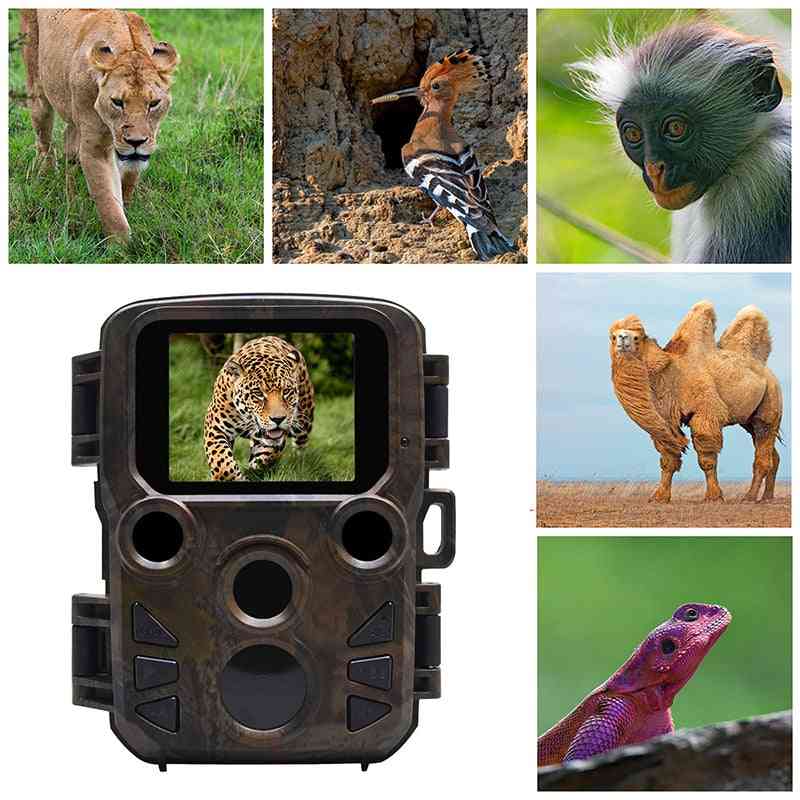 12mp 1080p Hunting Camera